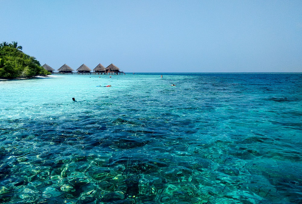 Placement Year International - Hospitality placements in the Maldives Placement Year International - Hospitality placements in the Maldives