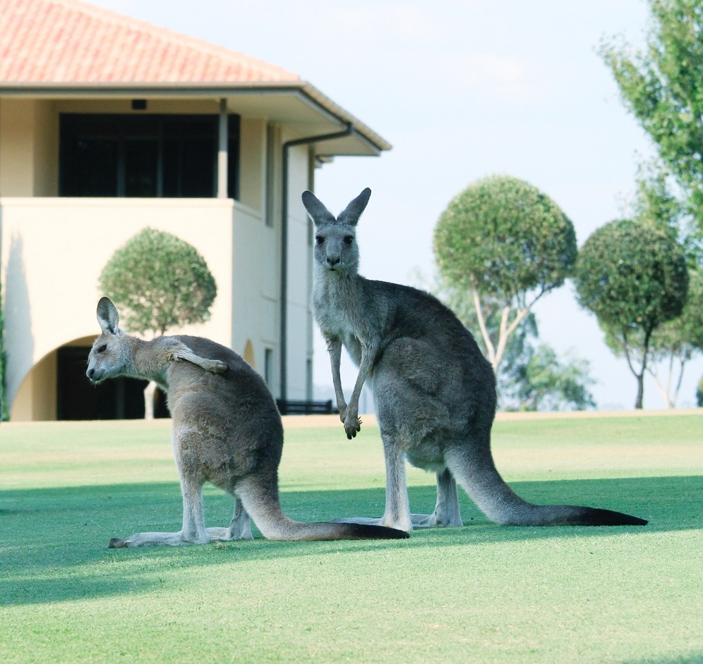 Placement Year International - Hospitality placements in Australia Placement Year International - Hospitality placements in Australia
