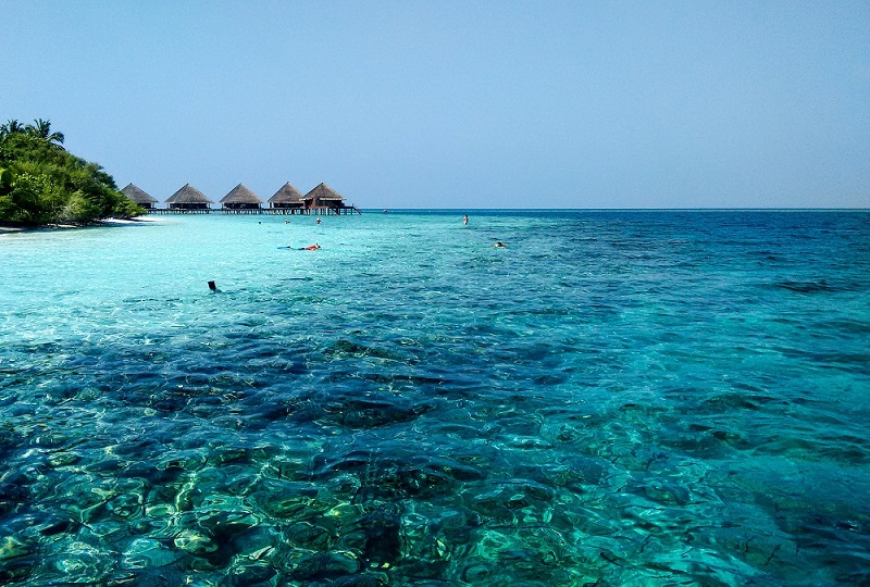 Placement Year International - Hospitality placements in the Maldives Placement Year International - Hospitality placements in the Maldives